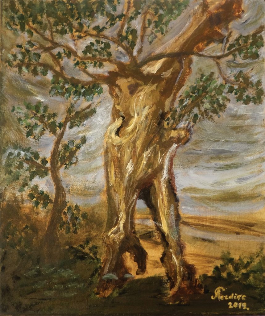 Autor: Ankica Pezdirc