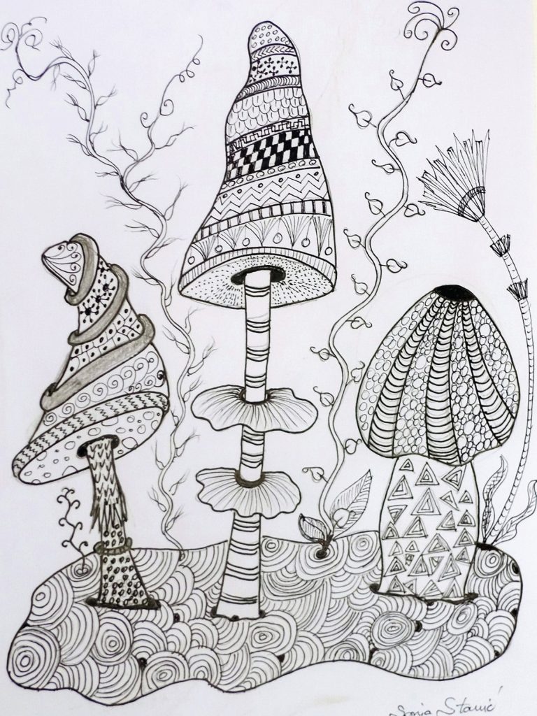 Autor: Sonja Stanić